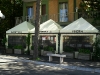 sdc10250piccola